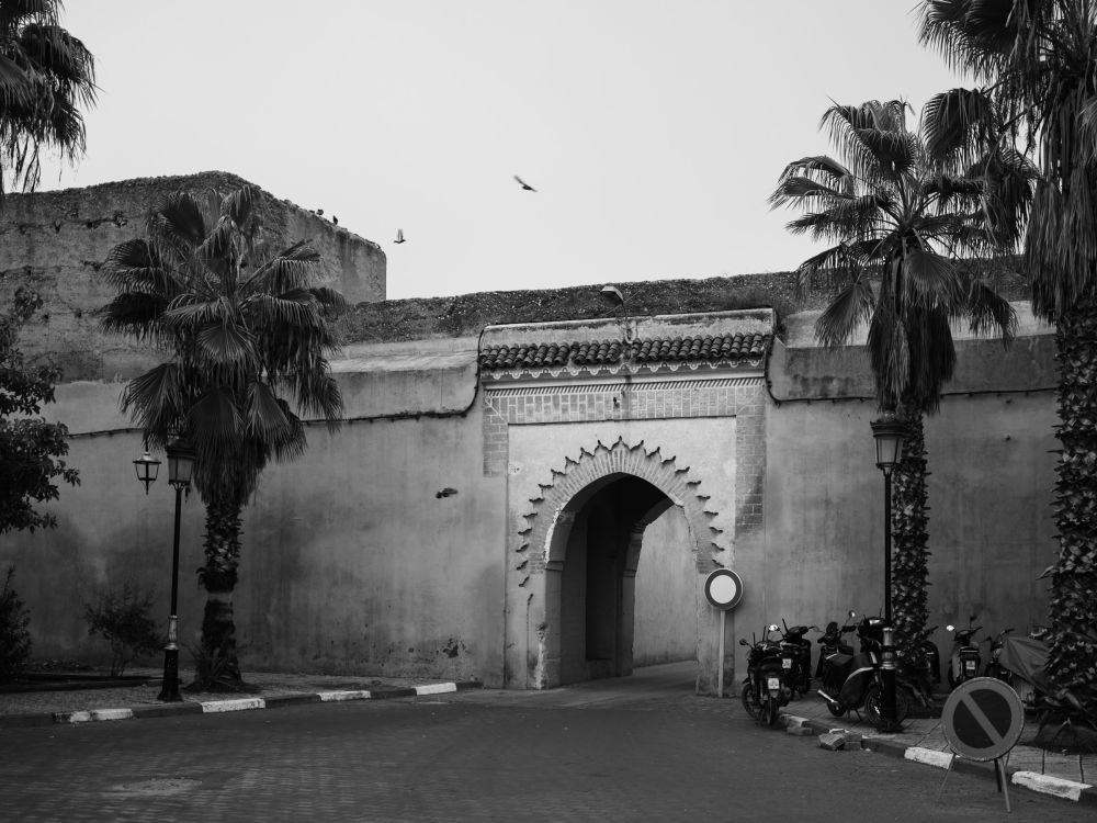 One of Marrakech's old rampart gates in the flat grey light of early morning. Palm trees flank the horseshoe arch, birds circle above the crumbling wall.