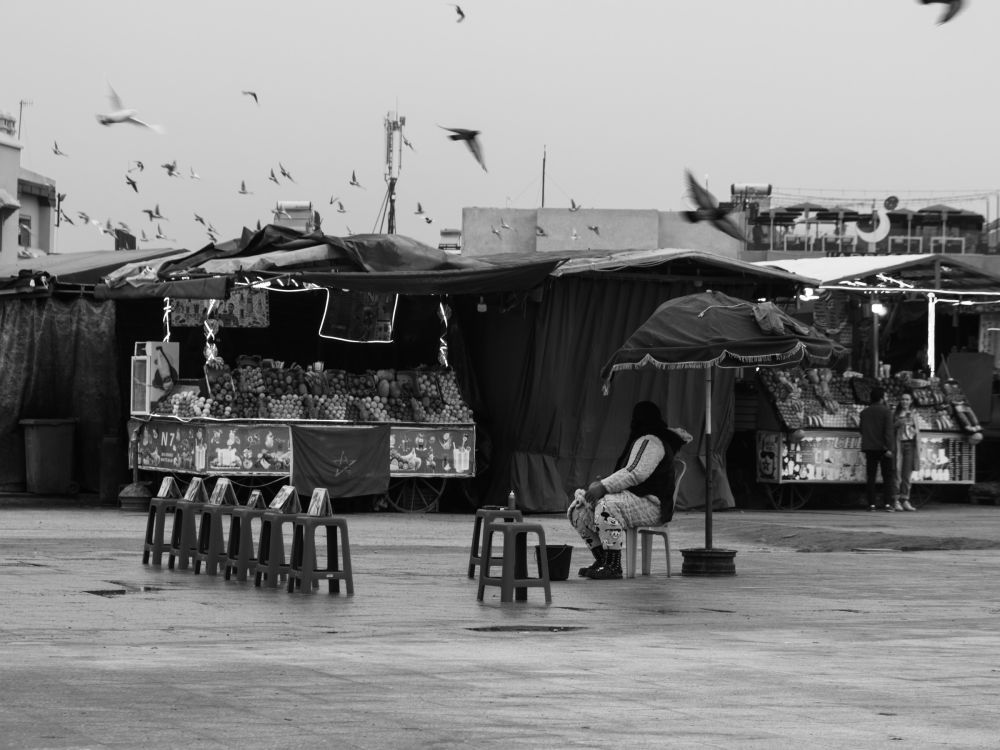 A vendor sits beneath an umbrella at a fruit stall on Djemaa el-Fna as a flock of birds sweeps low across the square. Stools are laid out but no one has sat down yet.