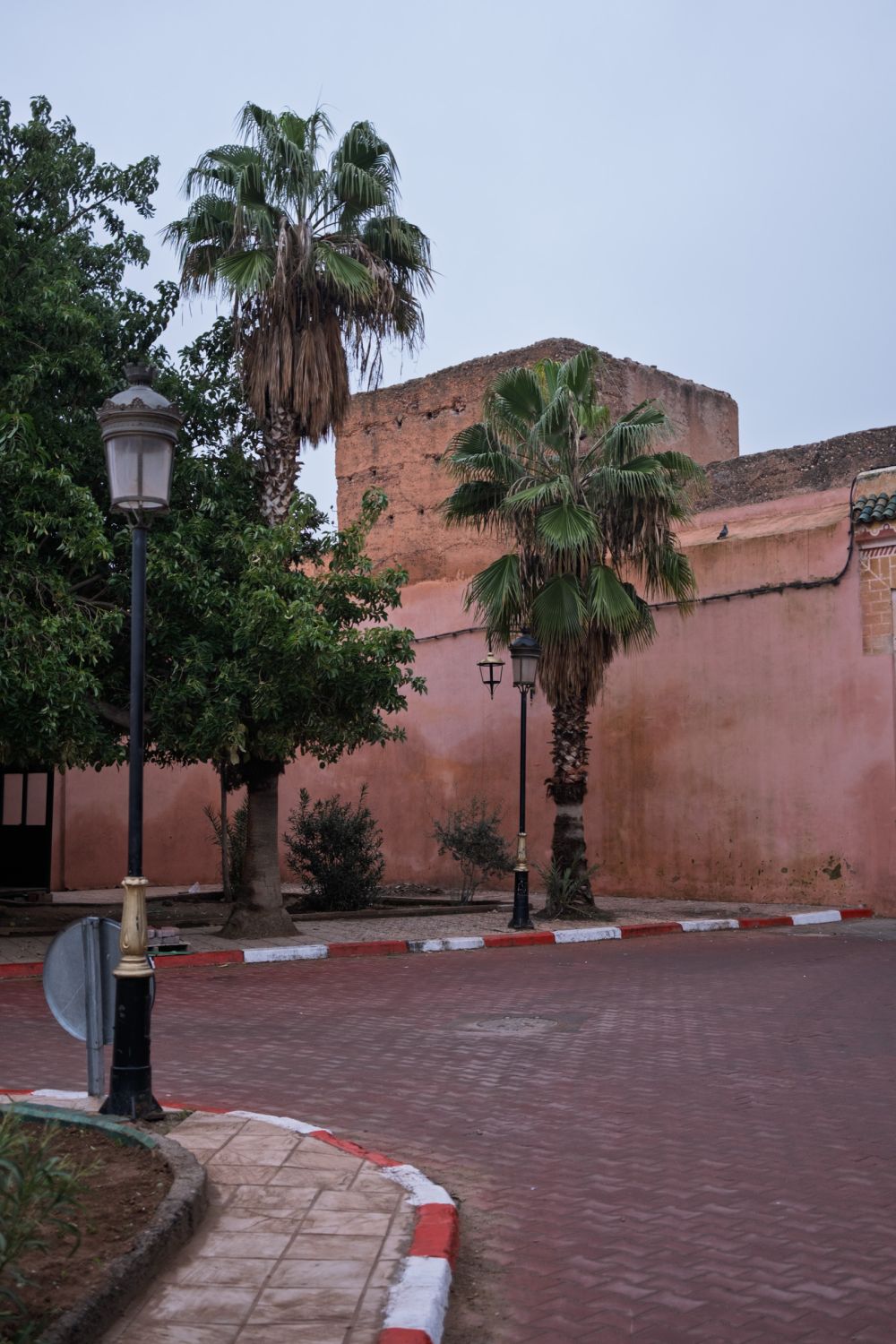Palm trees and street lamps stand against the long ochre wall of the Medina ramparts. No people, no movement — the city paused between night and morning.